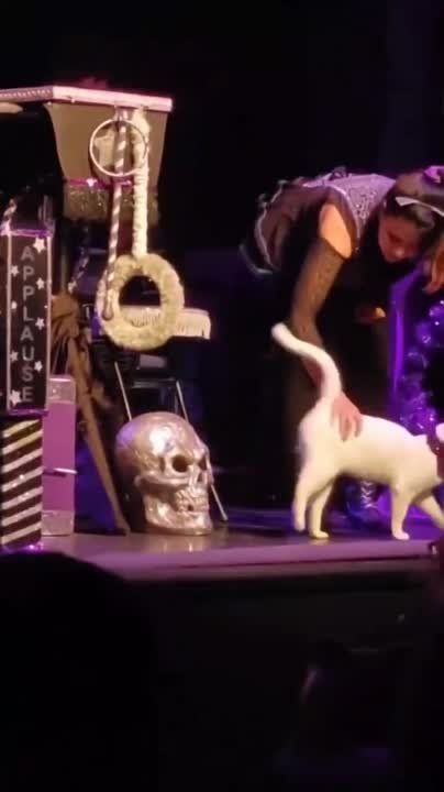 ��������� ����! ��������-����� ���������� �������