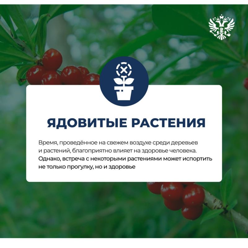 ���������, �������� ��������!