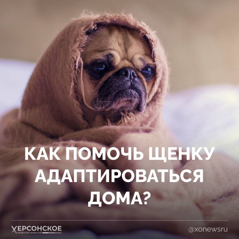 ���������� ������� ������? �������� �������! ������ ������ ������ ������, ���������� ������� �, ��������, �������� ������� � ��������