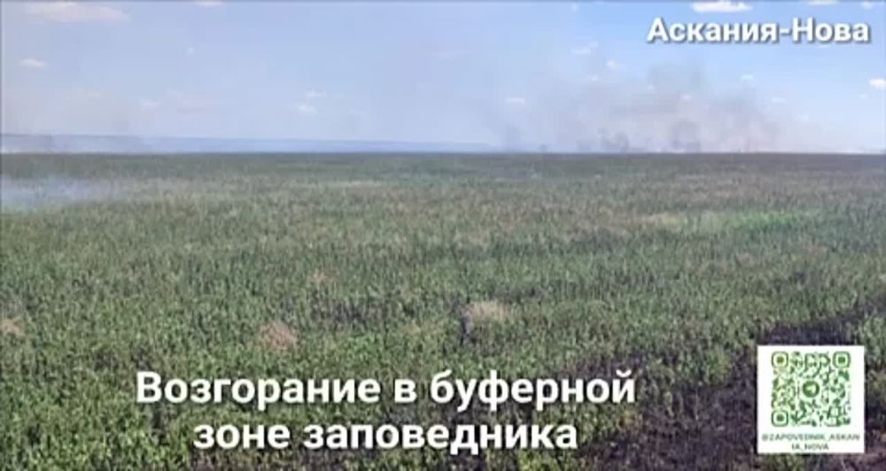 ���������� � �������� ���� �����������