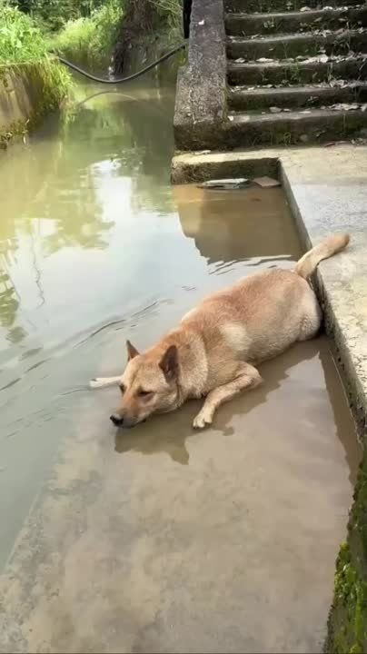 ���, �������� �� ��������� ���