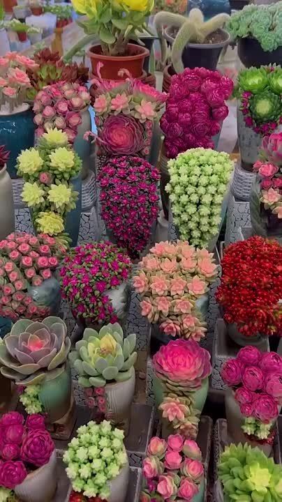 ������� ������� � ������� ����