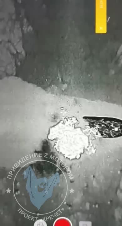 ���������� Z �������.. �������. ������ �������� ���������� � ���� �����, �������� �������� �� ������