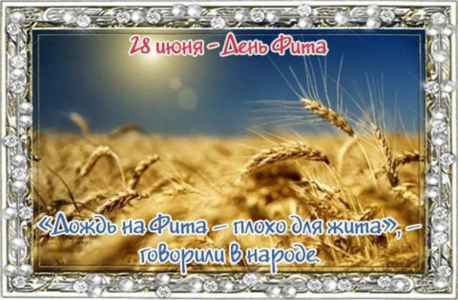 ��������� 28 ����. ���� ����