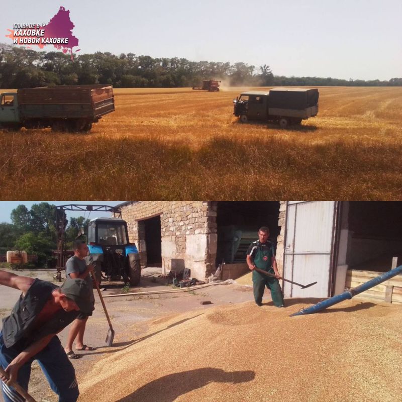 ���������� ����������� ������� ������� ����� 40 ���� �����