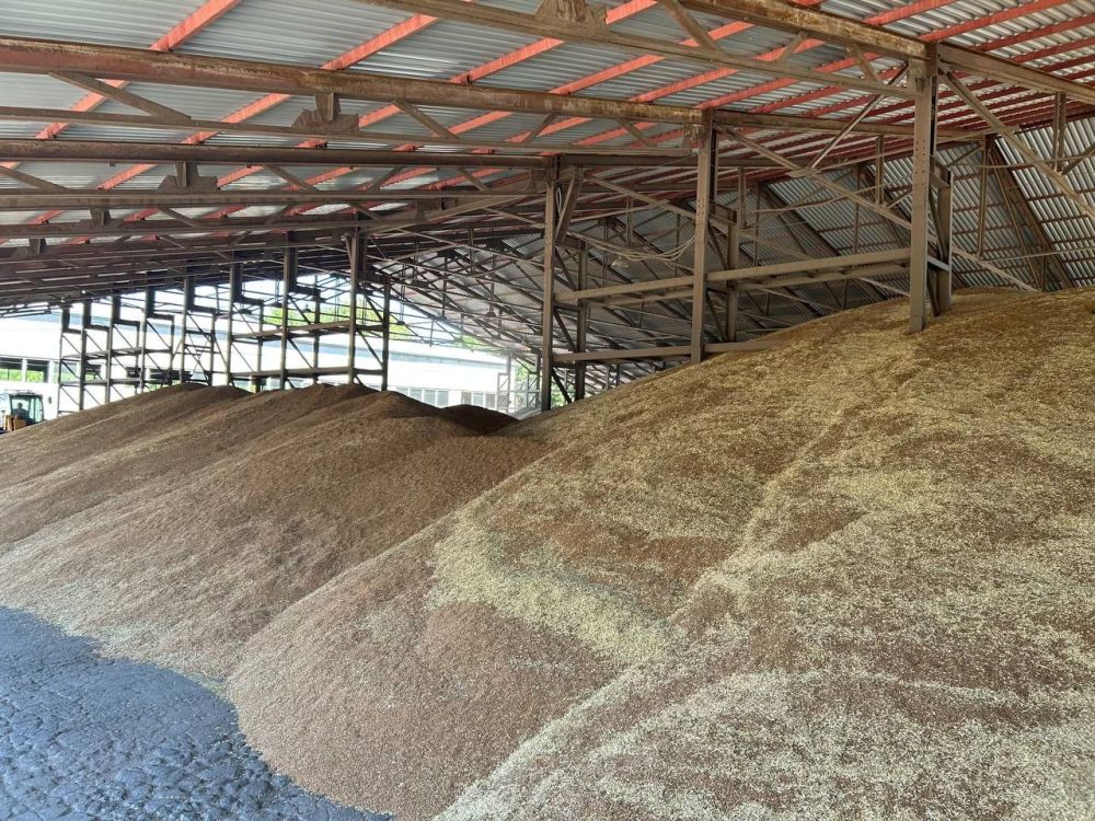 �� ���������� ���� ������ ��������