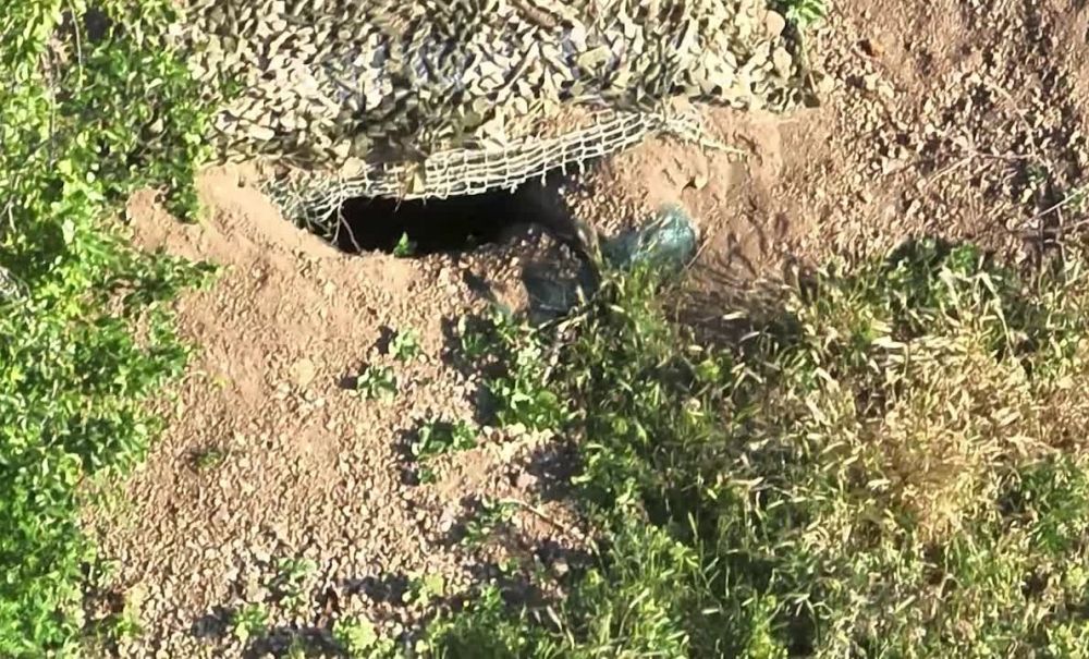 �� ������������ ��� ���� �� ������ ��������, �� � �������������� ����� ��������