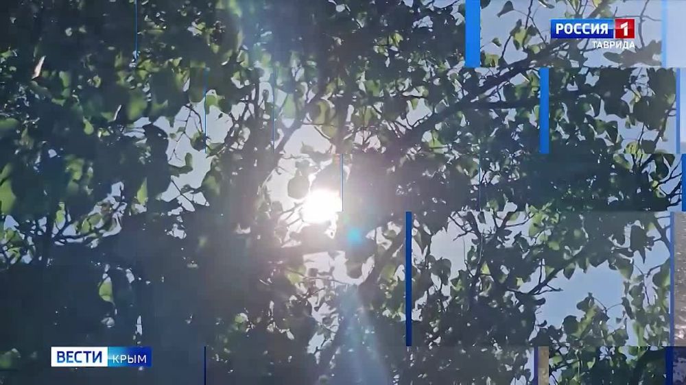 12345����� �������������-������������� ��������� �������� ������