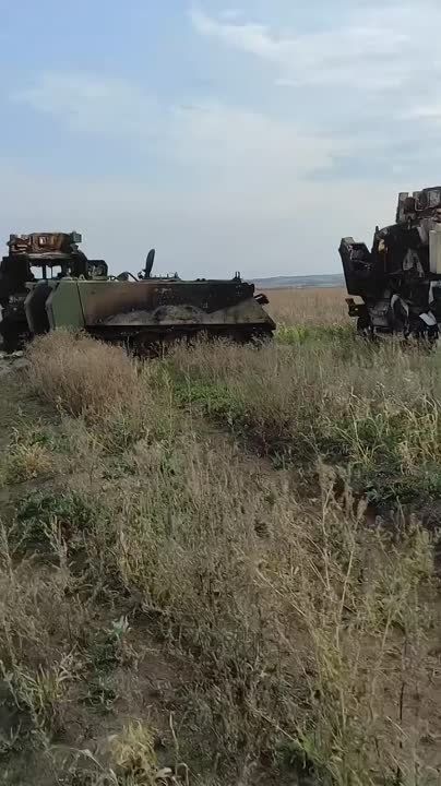 �������� ���������� ������������ ������������� ������������ � ����������� ������ ����������� �������