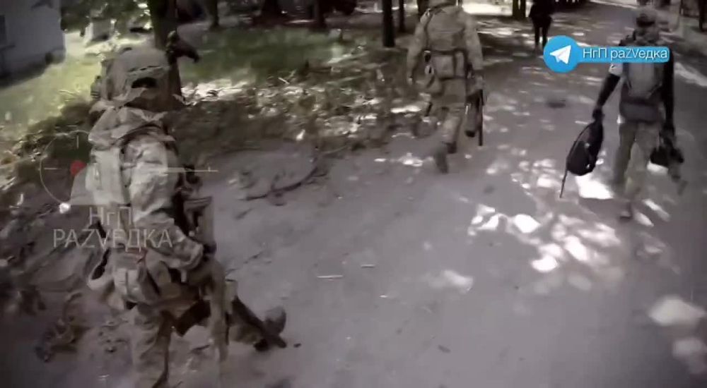 ��� ��ZV���� ������� ������� ������� ���� �������, ����������� �� ���������� �����������