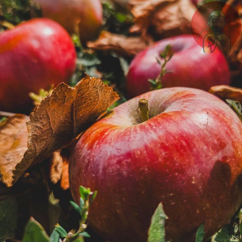 ������ �����. ��������� ������� � ���������, ������ ����������� ������ ���� ��������������� �������. ��� �������� ������� � ����������� ��������� ����������� ����