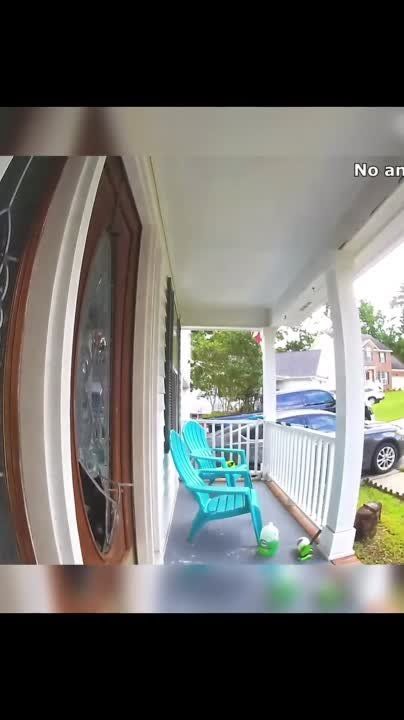 ��������� ���� ������! ��������-����� ���������� �������