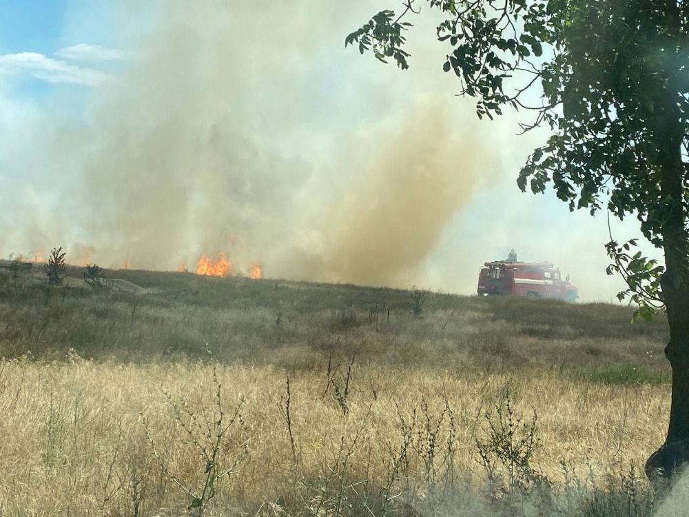 ����� ������ ������������ � �������������� ��������� �����