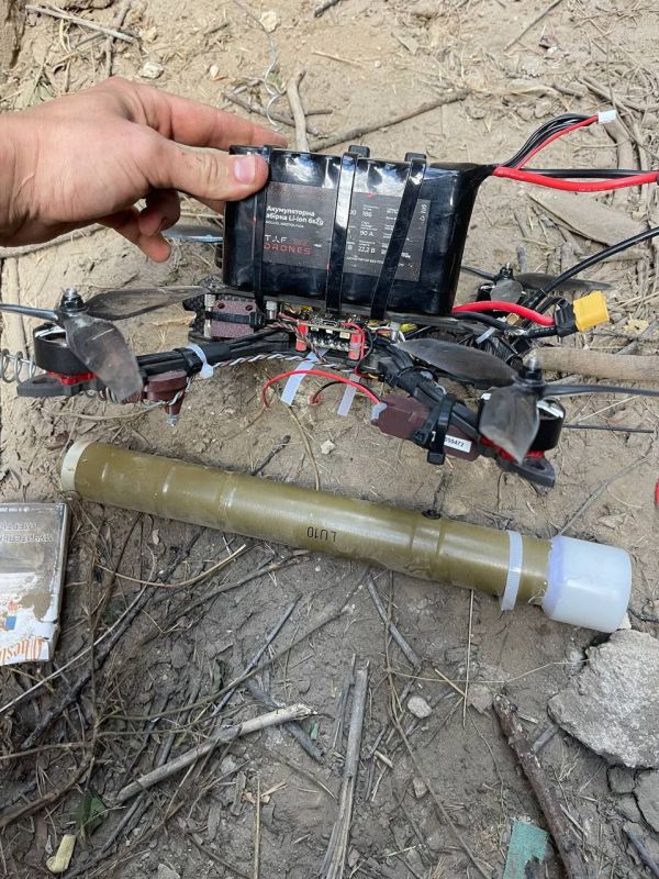 ���������� �����������