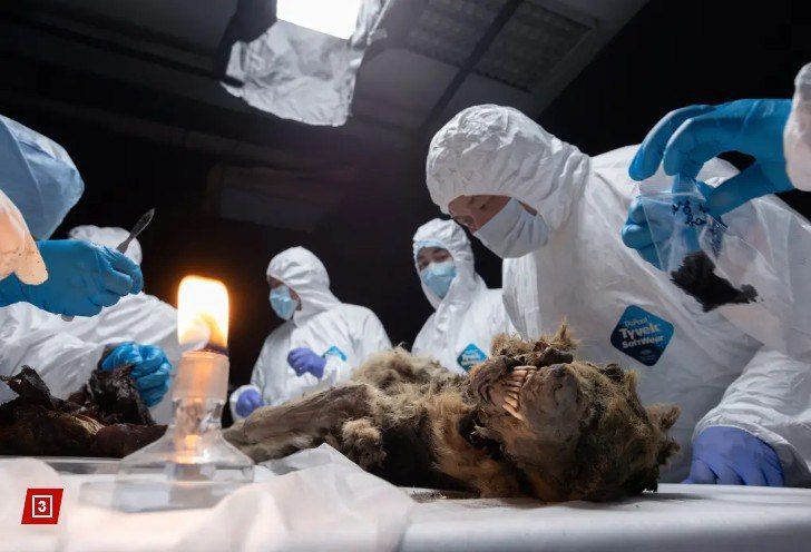 � ������ ����� ����� �����, �������� 44 ������ ���