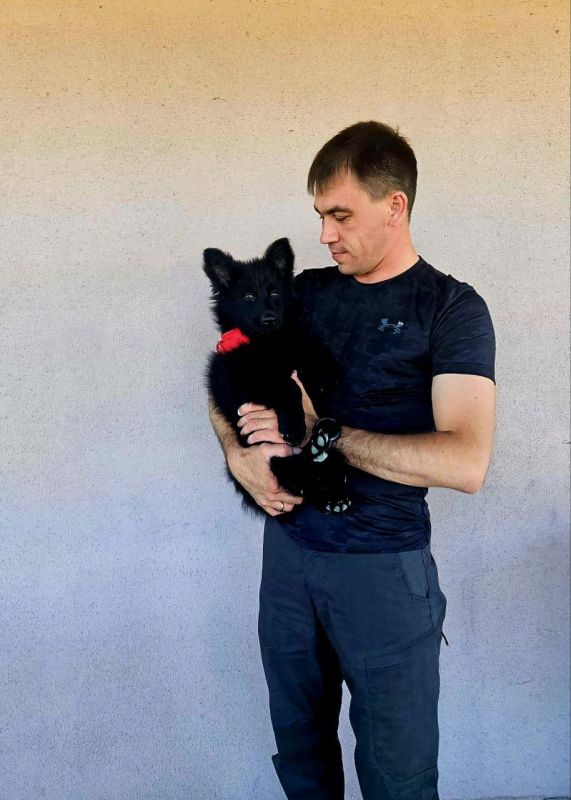 Рамиль Замалетдинов: +1 в команде.. Будем дружить и жизнь жить!