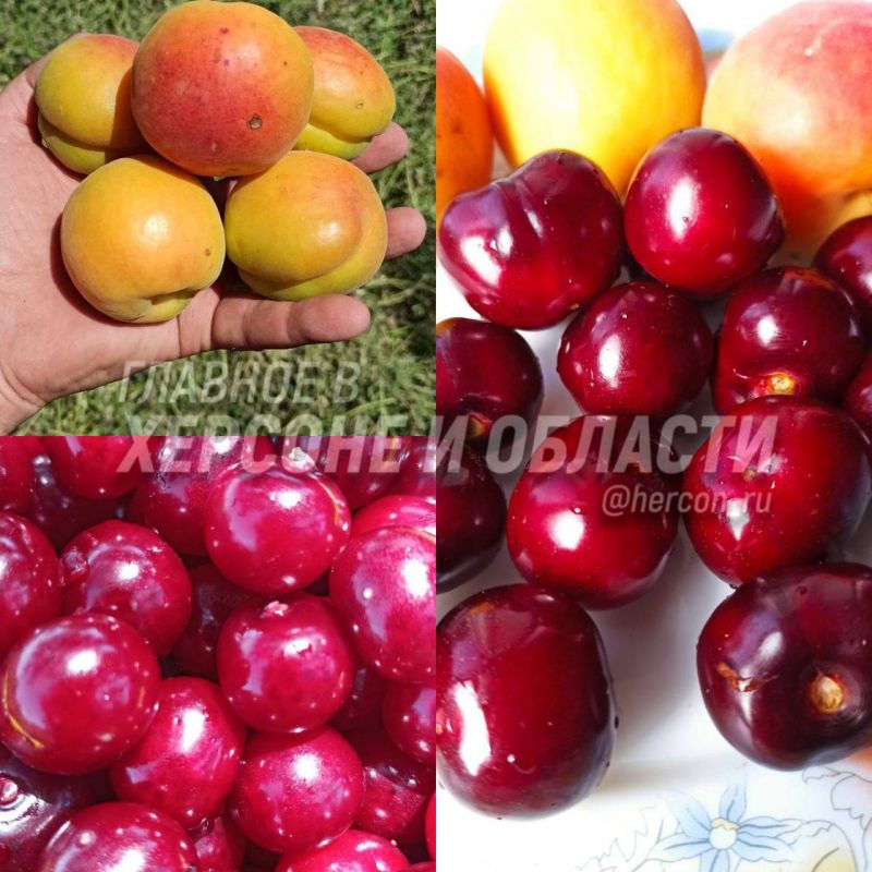 ���������� ���������� ��� � ������ ���������� ���������� ����� ��������� �������