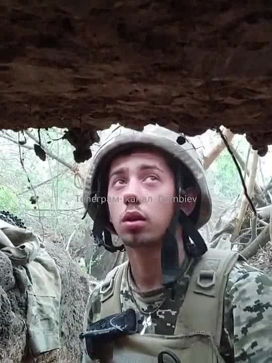 ������ ������� 82-�� ���� � ���� � ������������ - �����������