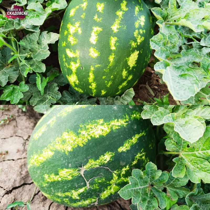 ���� ���������� � ������ ����� � ������� �������� ����� �������