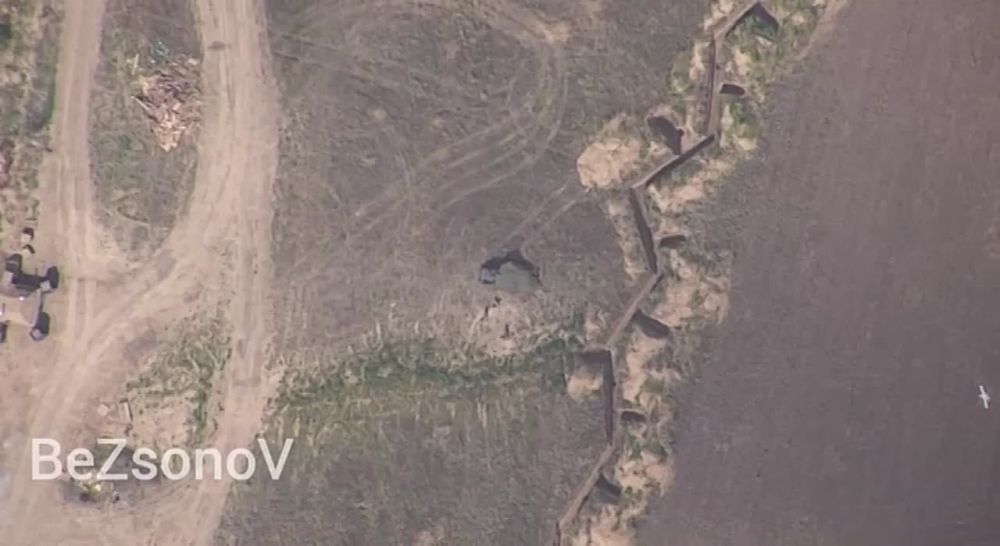 #���������. ����� 80-�� ����������� ������� �� �� �� ���������� ����������� ���������� �������� ��������� ���