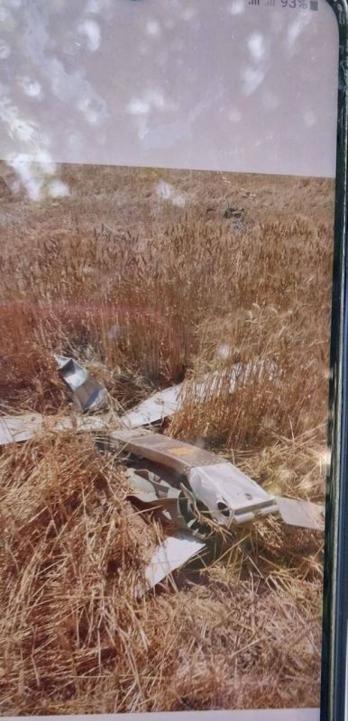 � ���������� �� �� ����� ����� ������ ���������� ��������� �����������