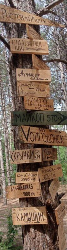 ������. 2024 ���