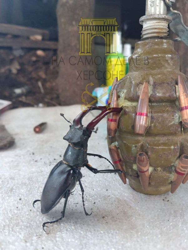 ������ �� ������ � ����� ������ ����� ��������� � ����� ������ ����������