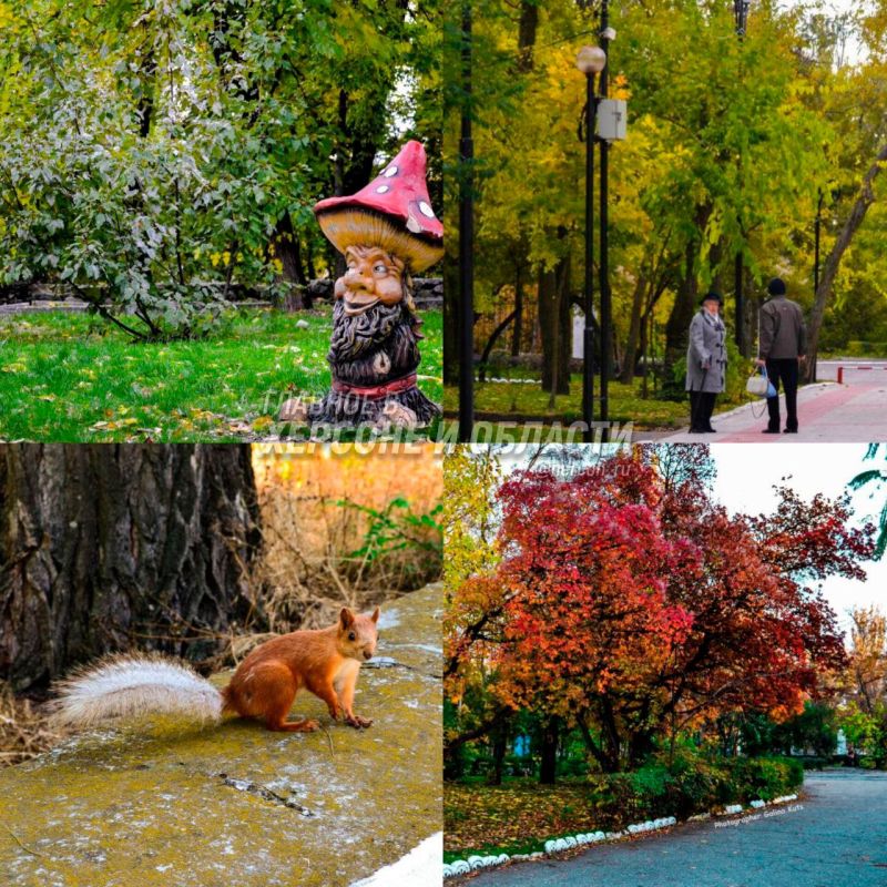 ����� �������� �����, ������ � ����� ������� � ������ ���������� ������� ���������� �������� � ������� � �������