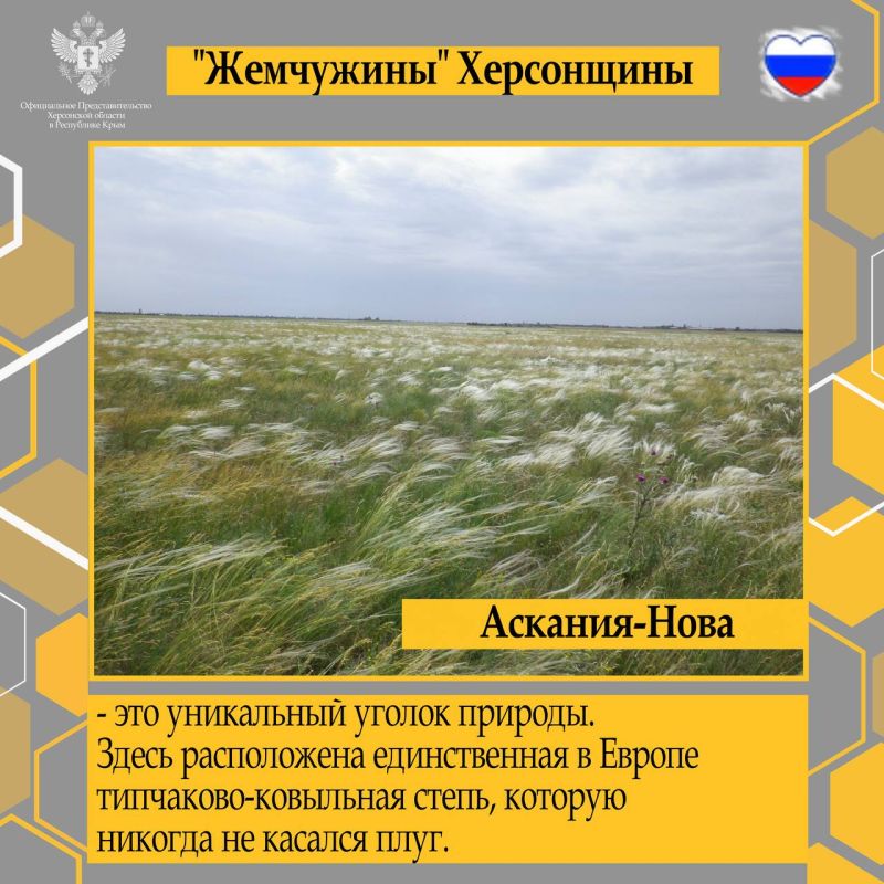 "���������" ����������. ������� ���������� ������� ������������ ����� ����� ��� ��������������� ���: �� ���������� ������ �������, ��������� ����������� ���������, �������� � ������������� ������, ��������, ����� � ������� ����