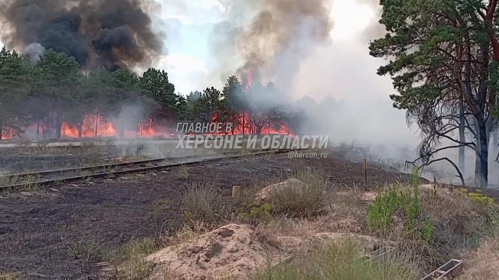 �����, ��������� ������ ������������ �� �������������� ������, ��� ��� �� ������� � ���������� ���������� ������ ���������� ��������