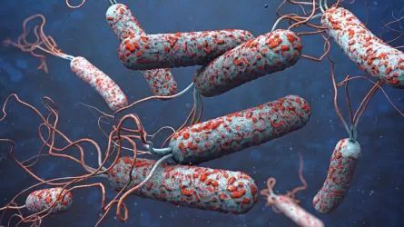 ����� ��������: ��� �������� ������� ������