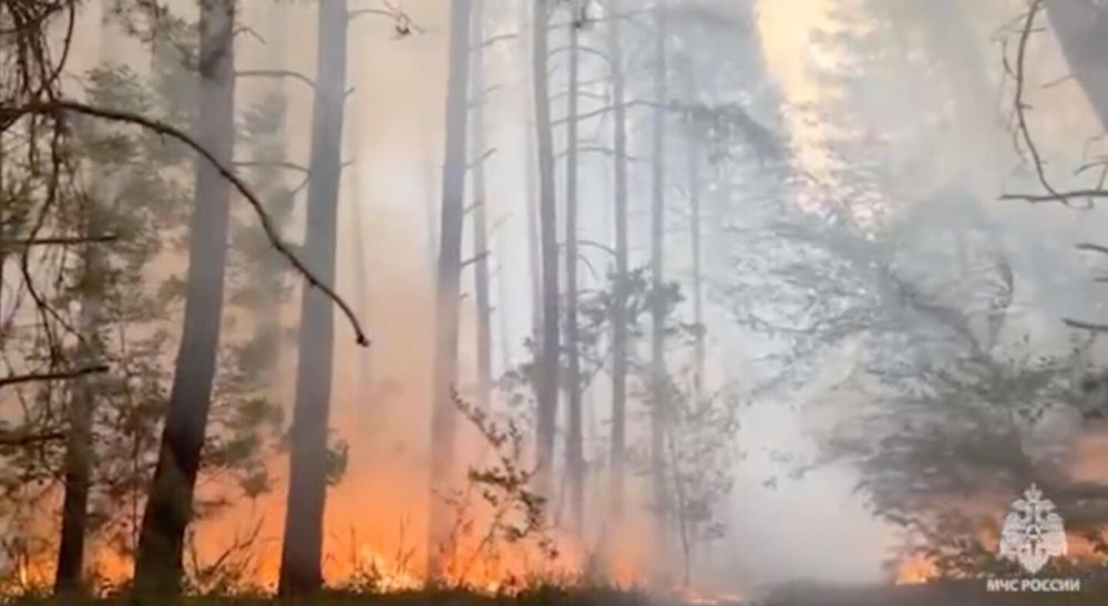 ������: ������ ����� ������ � ������������� ��������� ������ ��-�� �������� ���