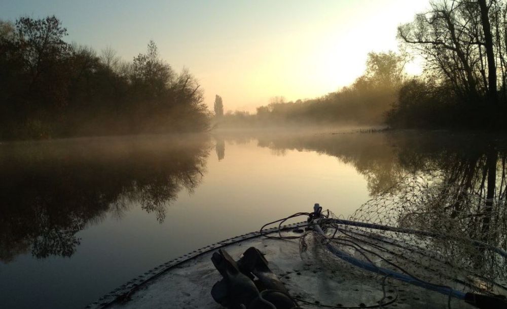 ��������� ���������� �������� "������ ���� ���������� �������" �� ��� "������"