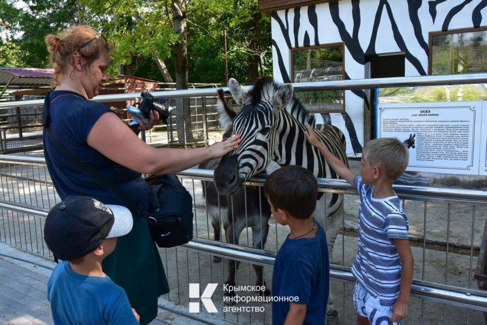 �������� ����� � ���������� ������� ����� ���������� ���������