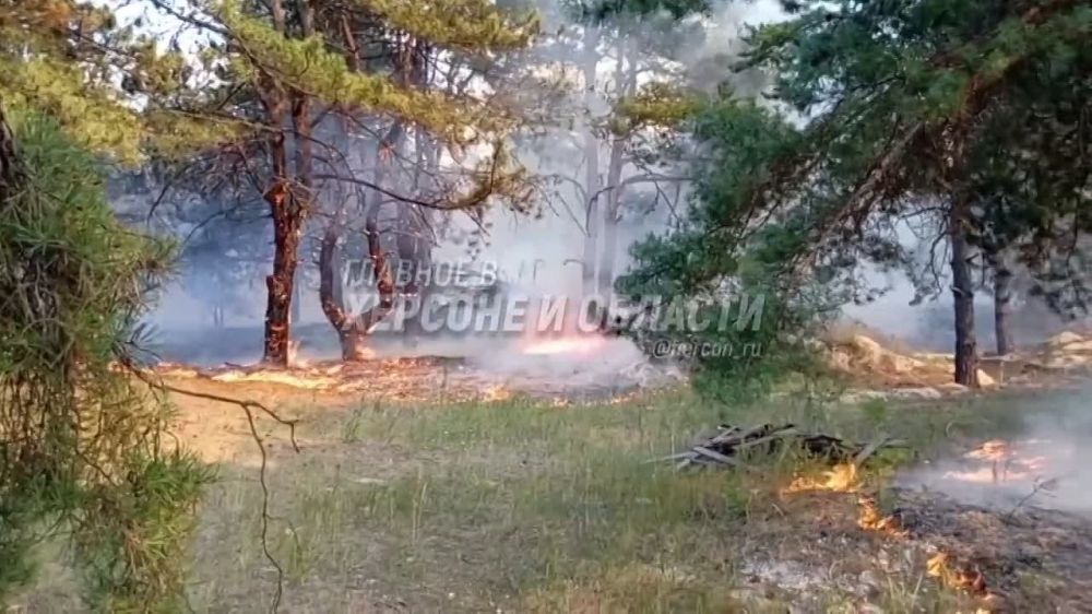 ������� ���������� ���� � ����� ������� ����������� � ����� ����� ���������� ���������� �������