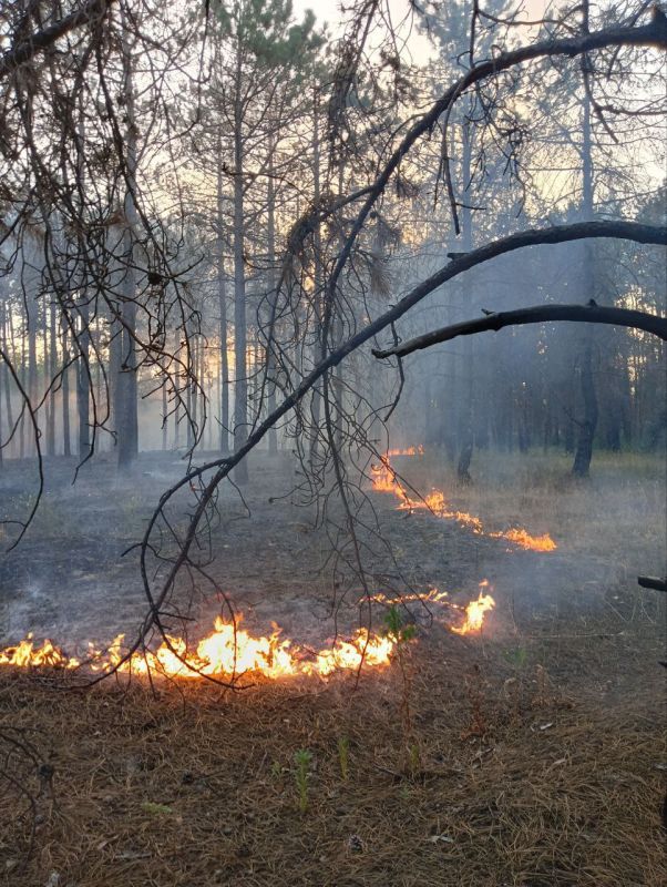 �� ���������� ���������������� ����������� ������������ ������ �����