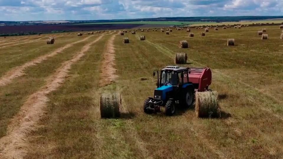 ����� ������� ������� � ������������ ������������ �������� �������� ����������