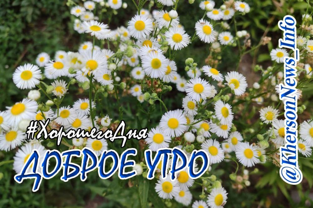 ������ ����, ������!. ���� �������� ��� � ��������� ������� ������ � ����. �� � ����� ������ �� ��������� � ������ � ������� � ������, ������������ ����� ����������, � ������ � ����� ���������