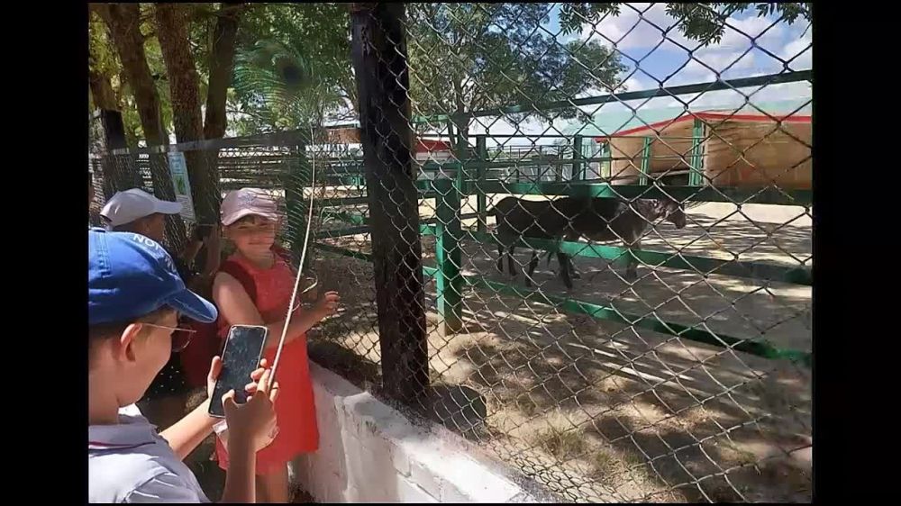 ���� ������� ������ �������� � �������-����