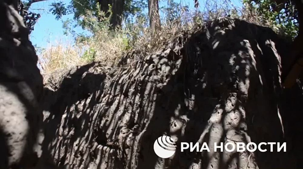 ������������� ���������� ������� ������� ������ ��� �� ������� ���������� �������������