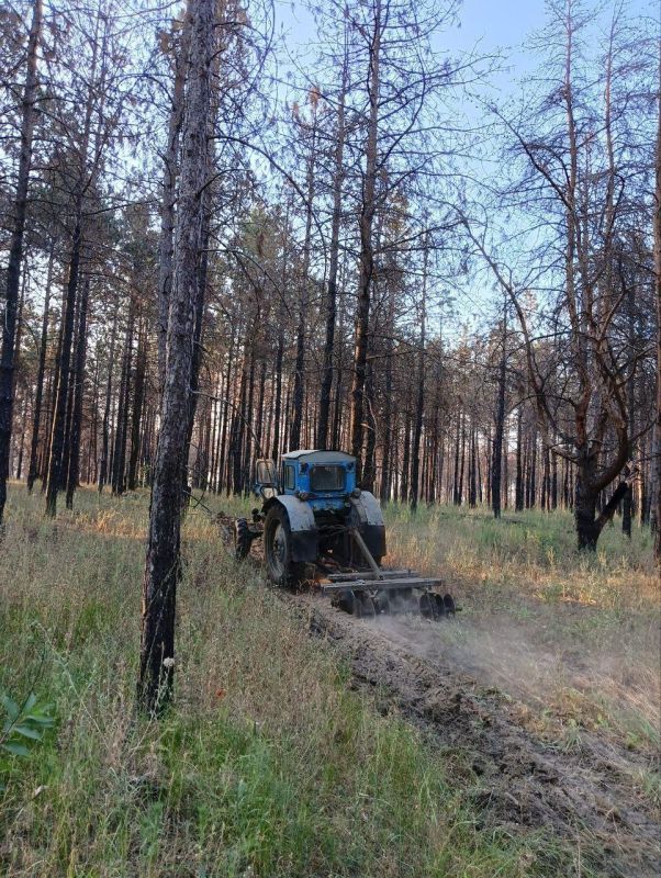 �� ���������� ���������������� ����������� ������������ ������ �����