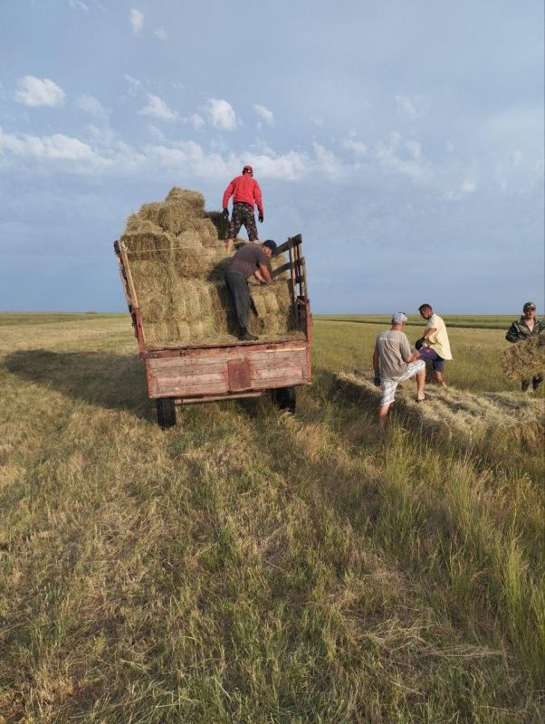 � ��� "�����-��������� ������������ ����" ���������� �������� ���� ��� �������� �� ����