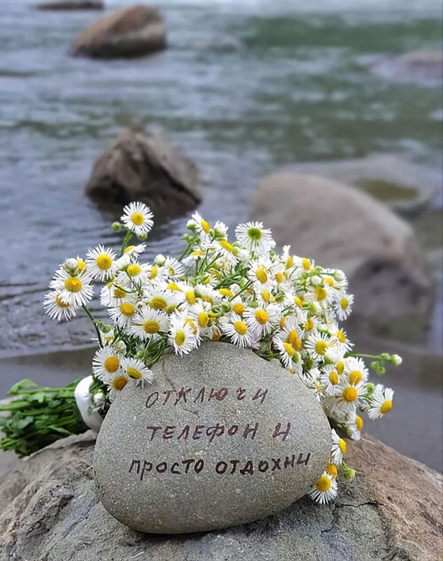 ���� ������� ������, ������!