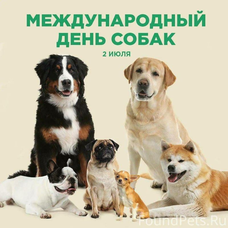 ������� - ������������� ���� �����