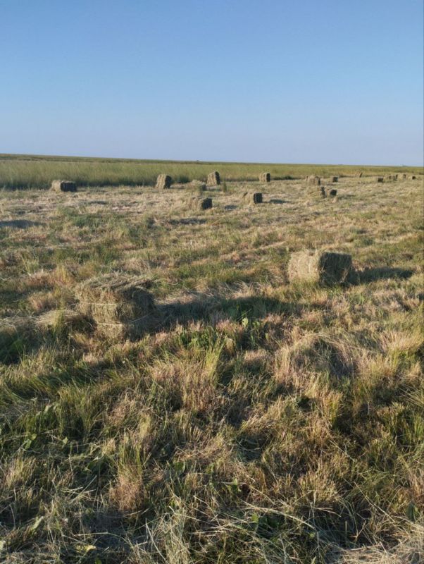 ���������� �����-���������� ������������� ����� ���������� �������� ���� ��� �������� � ������ ������