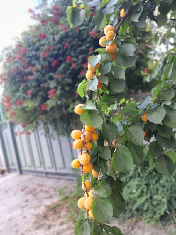 ���� ������ ���� ������ � ���������� � �����������!