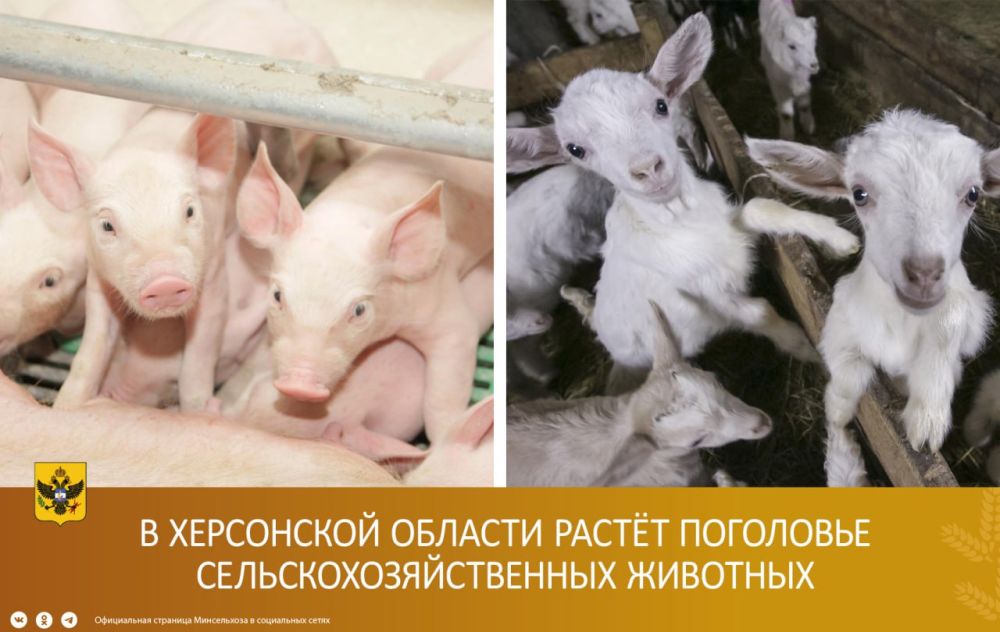 � ���������� ������� ������� ��������� �������������������� ��������