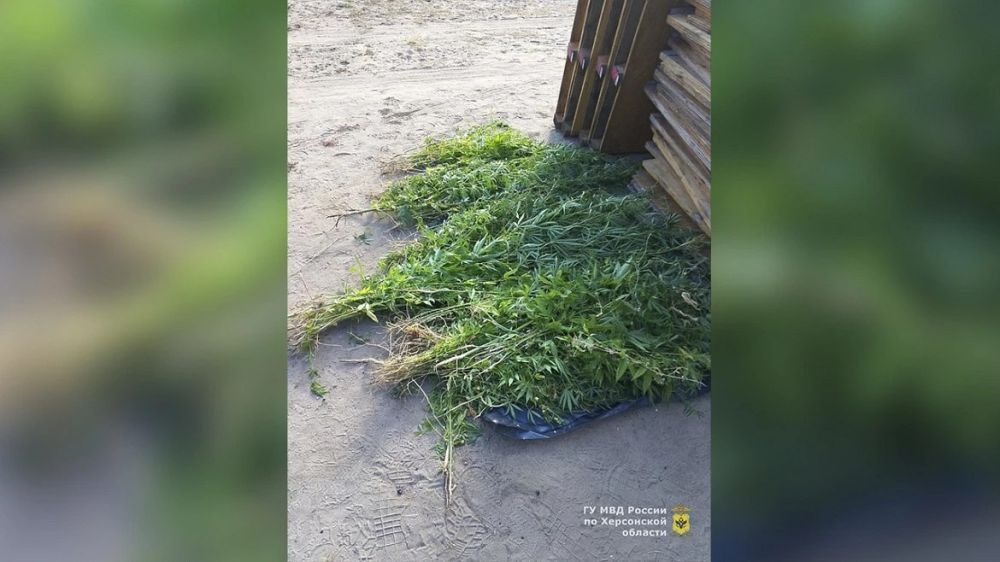 � ��������������� ������ ������� ���������� ������� � 186 ������� �������