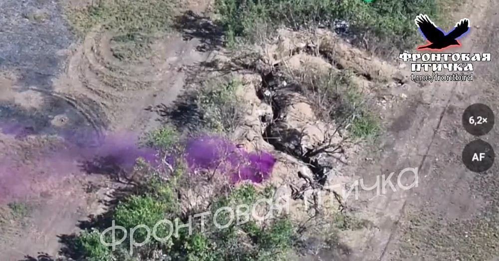 �����. �������� �������� ������ �� ����� ��������. ����������� �����������