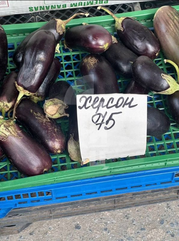 ��� ������ �� ��������� ��������